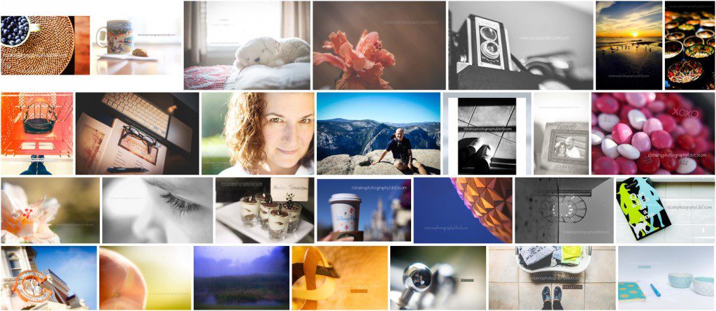 My February photos for my project 365 by Ristaino Photography of Sarasota FL