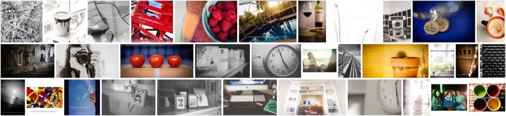 My January photos for my project 365 by Ristaino Photography of Sarasota FL