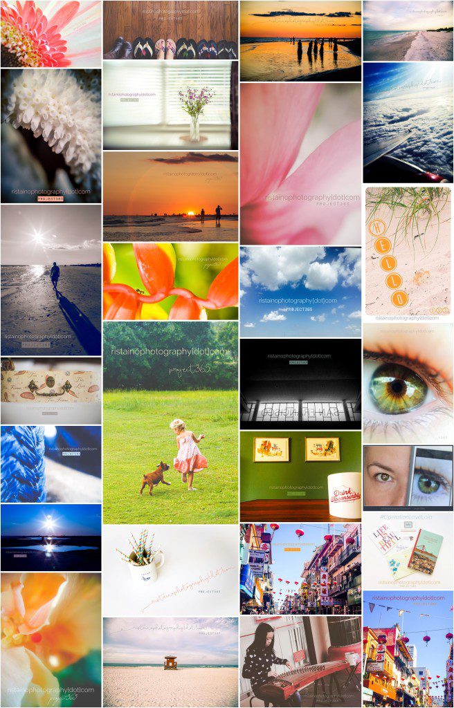 My June photos for my project 365 by Ristaino Photography of Sarasota FL