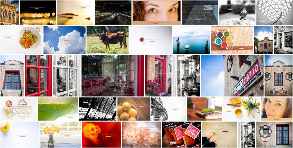 My March photos for my project 365 by Ristaino Photography of Sarasota FL