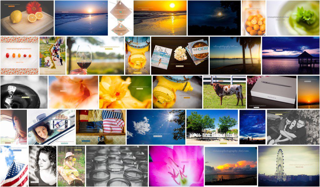 My May photos for my project 365 by Ristaino Photography of Sarasota FL