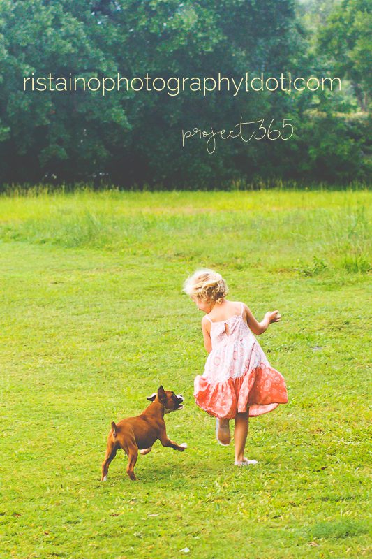 A little girl in a pink dress laughs while she is chased by a cute new puppy by Ristaino Photography of Sarasota FL