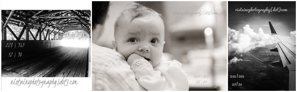 Collection of photos from my Project 365 for August by Sarasota  photographer Ristaino Photography