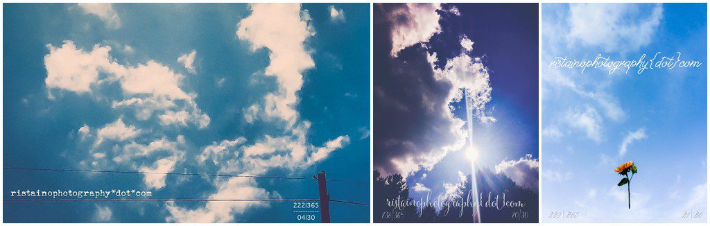 Collection of photos from my Project 365 for August by Sarasota senior photographer Ristaino Photography