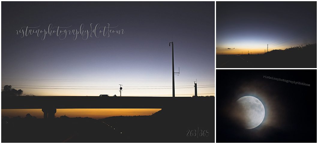 Alligator alley at dusk, and the blood moon 2015 from Sarasota FL