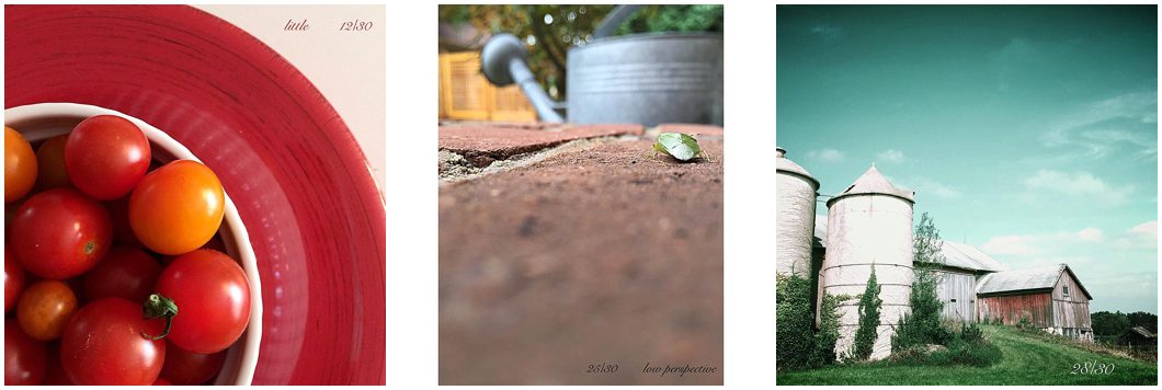 Challenge photos from the Summer Twilight 30 photo challenge hosted by Ristaino Photography of Sarasota FL