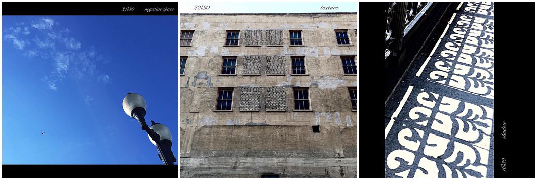 sarasota-photography-challenge-tips_0004