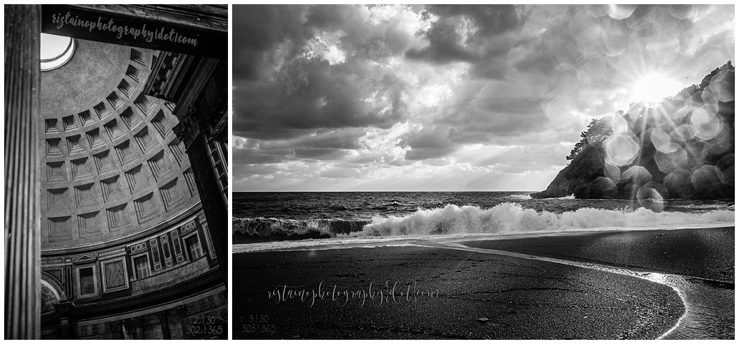 Photos from my 365 Project taken by Ristaino Photography of Sarasota FL