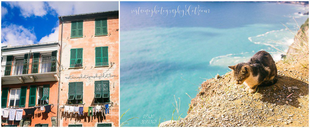 Photos of 365 project by headshot photographer Ristaino Photography of Sarasota FL