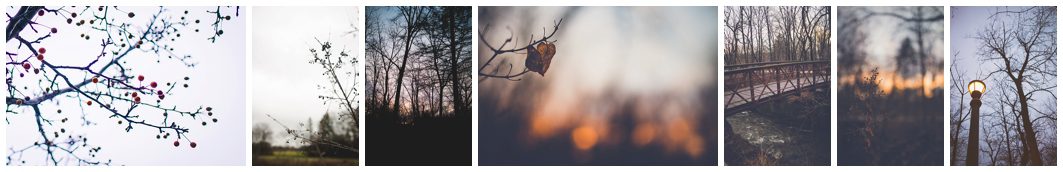 wisconsin midwinter by sarasota headshot photographer michaela ristaino