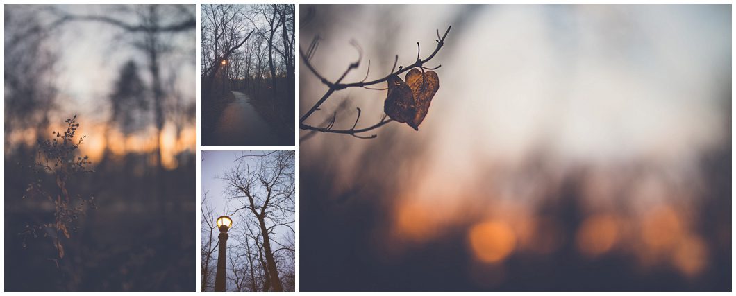 wisconsin mid-winter by sarasota headshot photographer michaela ristaino