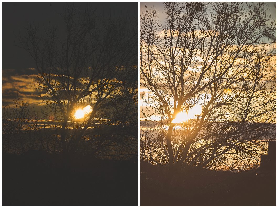 wisconsin midwinter by sarasota headshot photographer michaela ristaino