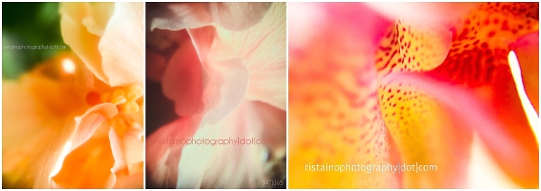 365 photo project using Instagram by Ristaino Photography a Sarasota senior photographer
