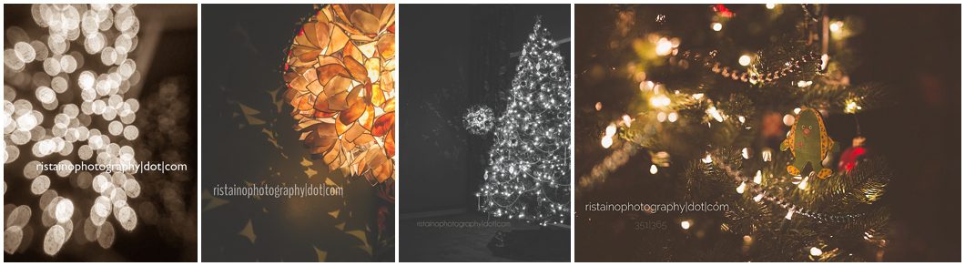 365 photo project using Instagram by Ristaino Photography a Sarasota senior photographer