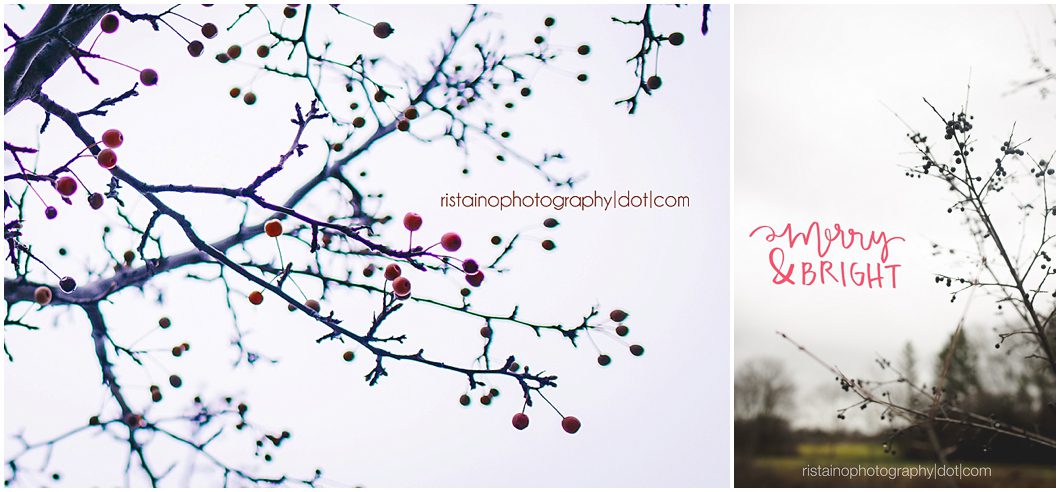 365 photo project using Instagram by Ristaino Photography a Sarasota senior photographer