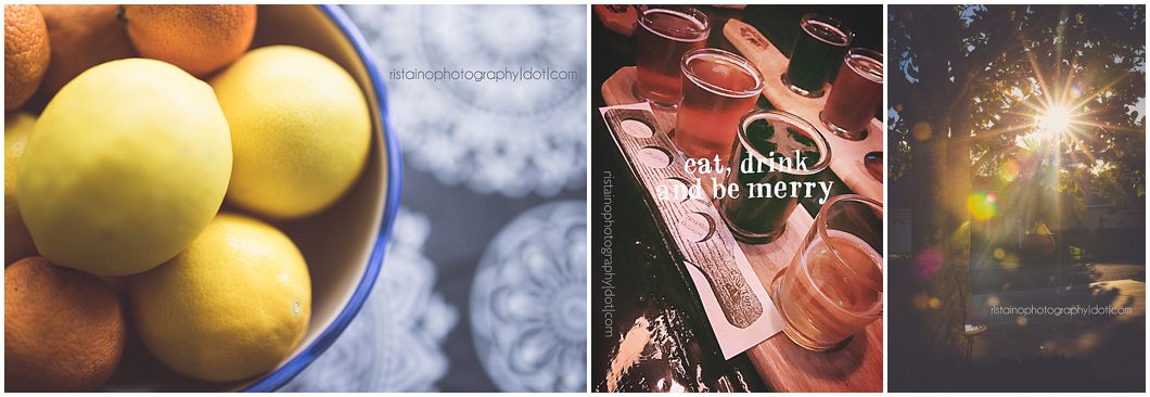 collage of project 365 instagram photos by sarasota headshot photographer ristaino photography 