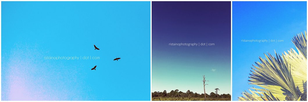 collage of project 365 instagram photos by sarasota headshot photographer ristaino photography 