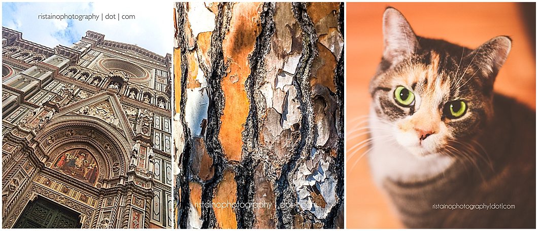 February photos of my Instagram 365 project by Ristaino Photography, headshot photographer in Sarasota FL