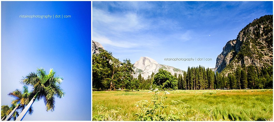 February photos of my Instagram 365 project by Ristaino Photography, headshot photographer in Sarasota FL