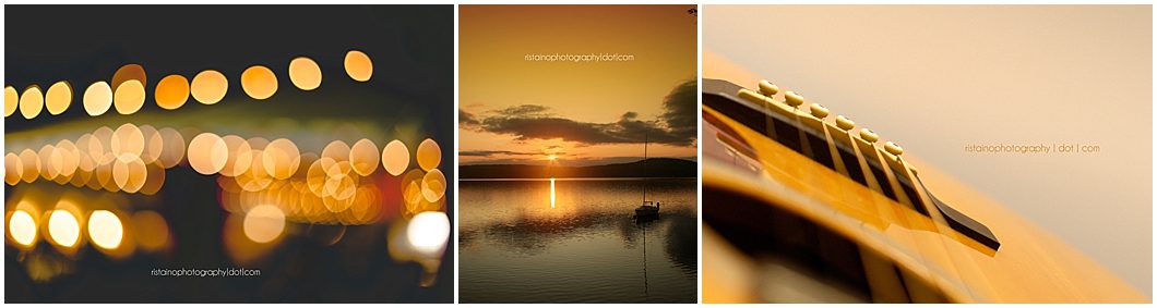 February photos of my Instagram 365 project by Ristaino Photography, headshot photographer in Sarasota FL