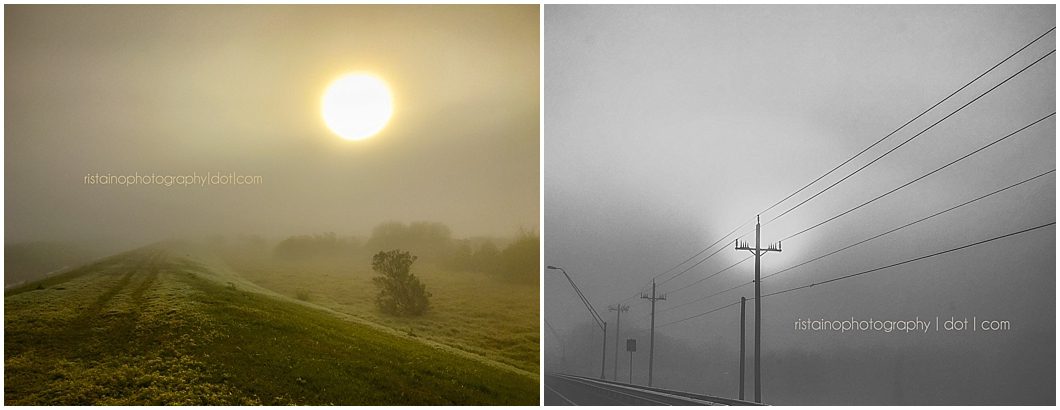 February photos of my Instagram 365 project by Ristaino Photography, headshot photographer in Sarasota FL