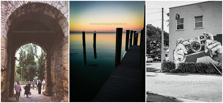 February photos of my Instagram 365 project by Ristaino Photography, headshot photographer in Sarasota FL