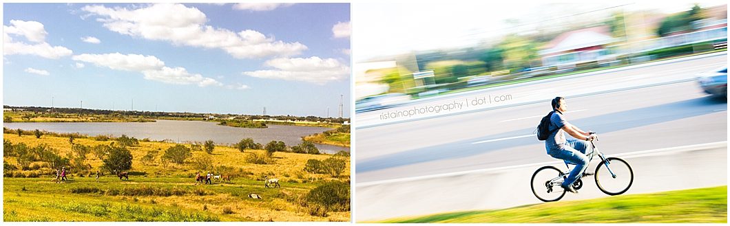 February photos of my Instagram 365 project by Ristaino Photography, headshot photographer in Sarasota FL