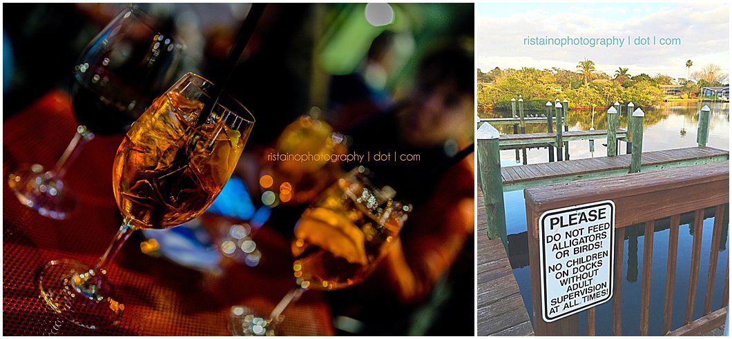 February photos of my Instagram 365 project by Ristaino Photography, headshot photographer in Sarasota FL