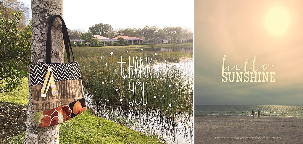 Instagram Project 365 - Sarasota FL