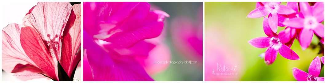 Ristaino Photography Premier Portrait Photographer in Sarasota presents April Project 365 photos