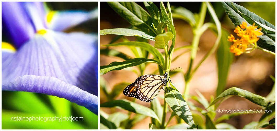 Ristaino Photography Premier Portrait Photographer in Sarasota presents April Project 365 photos