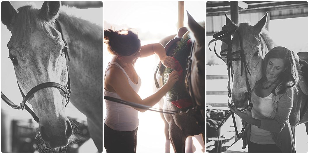 sarasota horse and pet photography by michaela ristaino photography at a horse farm in old myakka florida. www.ristainophotography.com