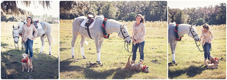 sarasota horse and pet photography by michaela ristaino photography at a horse farm in old myakka florida. www.ristainophotography.com