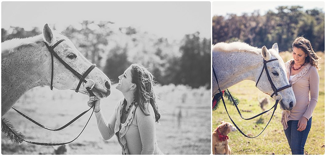 sarasota horse and pet photography by michaela ristaino photography at a horse farm in old myakka florida. www.ristainophotography.com