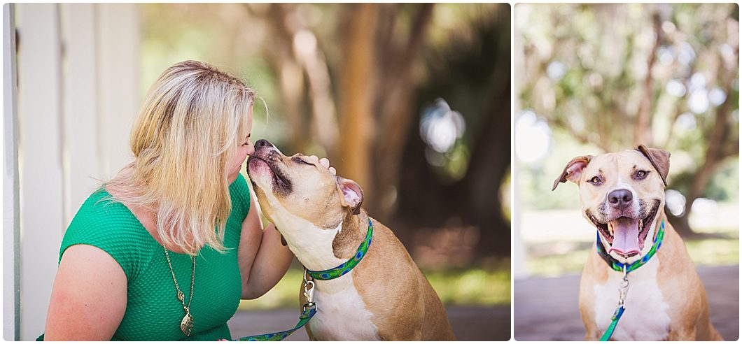 Sarasota Pet and Animal photography by Ristaino Photography Sarasota Pet and Animal photography by Ristaino Photography Sarasota Pet Photographer