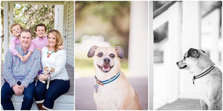 Sarasota Pet and Animal photography by Ristaino Photography