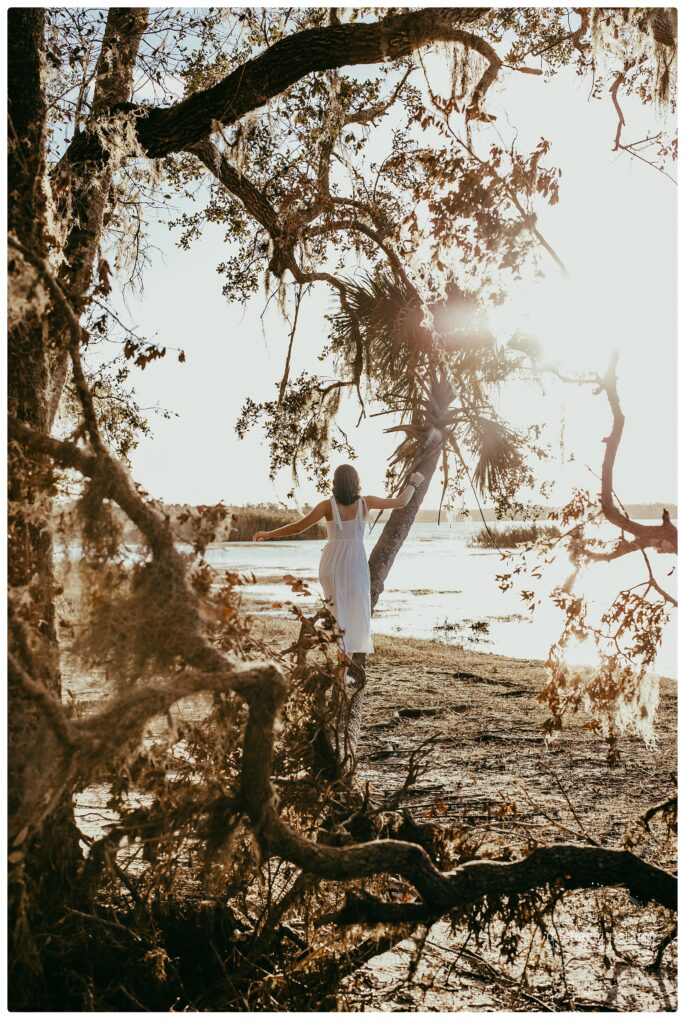 high school senior in sarasota balancing on a fallen palm tree during sunset
